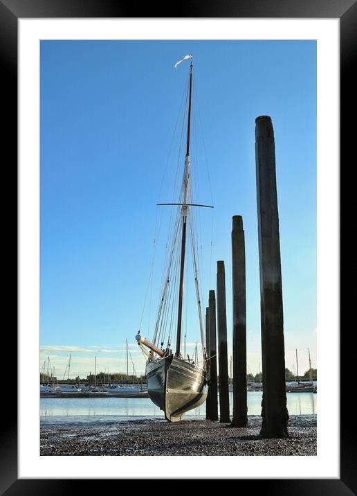 Smack on the scrubbing posts at low tide in Brightlingsea  Framed Mounted Print by Tony lopez