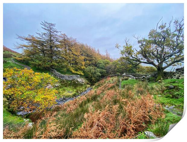 Threlkeld Autumn Landscape, Lake District Print by Gemma De Cet