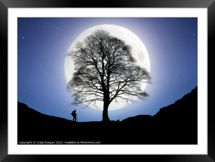 Sycamore Gap Tree Digital Art Framed Mounted Print by Craig Doogan