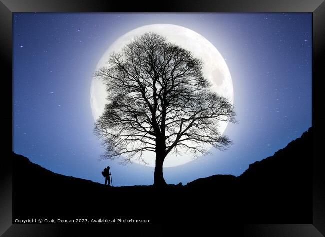 Sycamore Gap Tree Digital Art Framed Print by Craig Doogan