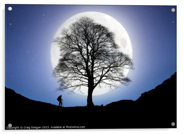 Sycamore Gap Tree Digital Art Acrylic by Craig Doogan