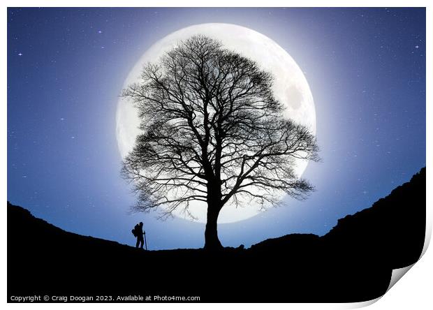 Sycamore Gap Tree Digital Art Print by Craig Doogan