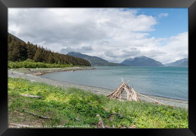 Beach in Chilkat State Park, Haines, Alaska, USA from Kelgaya Point Framed Print by Dave Collins