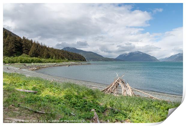 Beach in Chilkat State Park, Haines, Alaska, USA from Kelgaya Point Print by Dave Collins