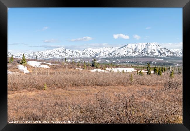 Denali National Park from the Savage River Alpine Trail, Alaska, USA Framed Print by Dave Collins