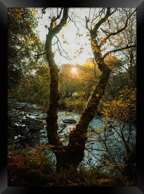 Autumn Sunrise  Framed Print by Ciaran Craig
