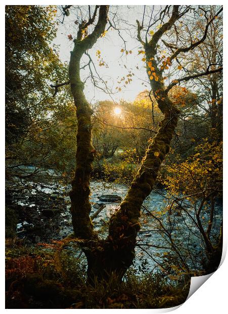 Autumn Sunrise  Print by Ciaran Craig