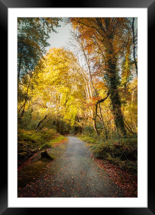 Time For a Walk  Framed Mounted Print by Ciaran Craig