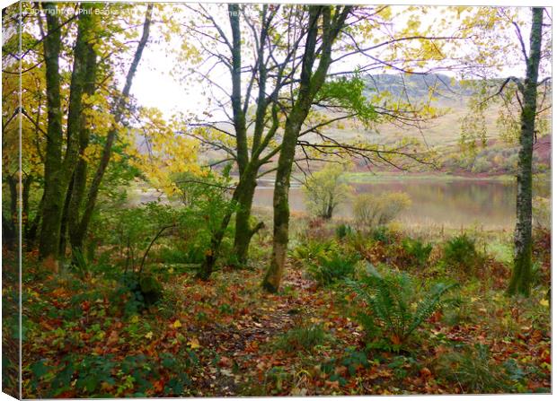 Autumn colours at Loch Dochart  Canvas Print by Phil Banks