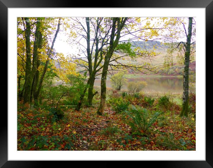 Autumn colours at Loch Dochart  Framed Mounted Print by Phil Banks
