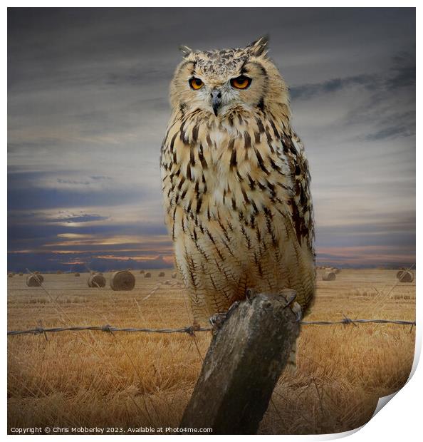 Bengal Eagle Owl Print by Chris Mobberley