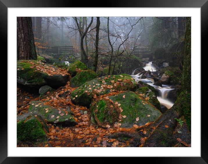 Whyming brook walk Framed Mounted Print by Jason Thompson