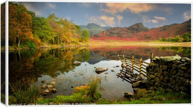 Blea Tarn in the lake district Canvas Print by philip kennedy