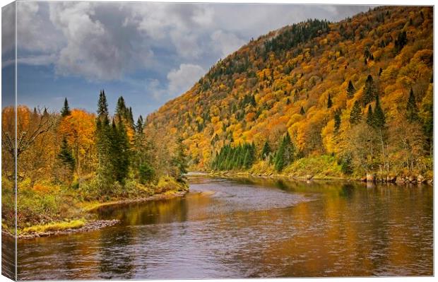 Autumn Colours in Quebec Canada Canvas Print by Martyn Arnold