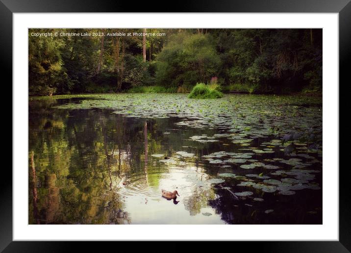Solitary Framed Mounted Print by Christine Lake