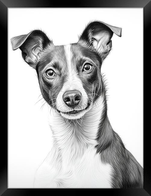 Brazilian Terrier Pencil Drawing Framed Print by K9 Art