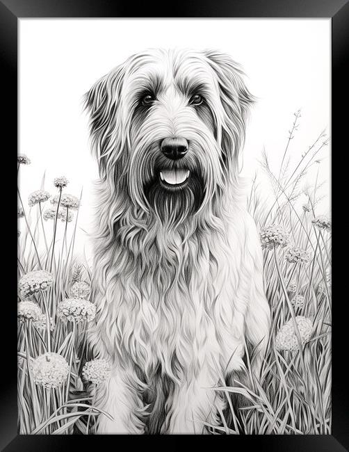 Briard Pencil Drawing Framed Print by K9 Art