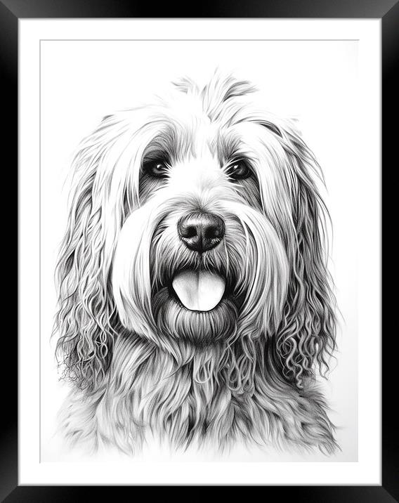 Briard Pencil Drawing Framed Mounted Print by K9 Art