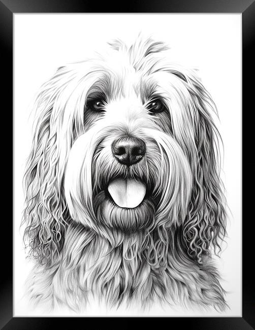 Briard Pencil Drawing Framed Print by K9 Art