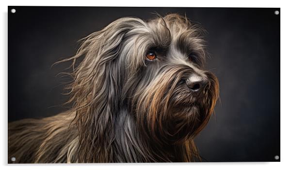 Briard Acrylic by K9 Art