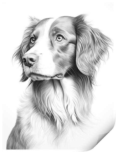 Brittany Pencil Drawing Print by K9 Art