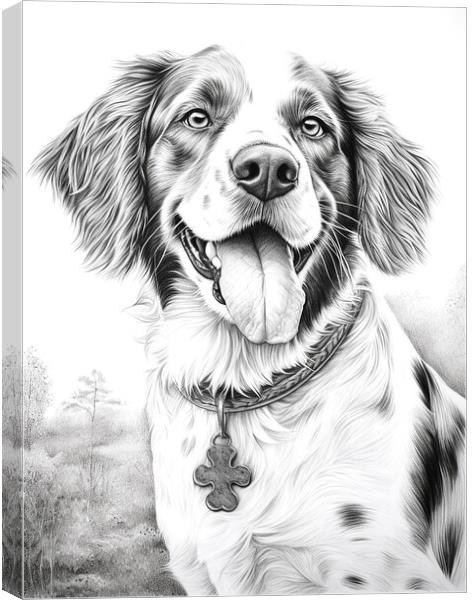 Brittany Pencil Drawing Canvas Print by K9 Art