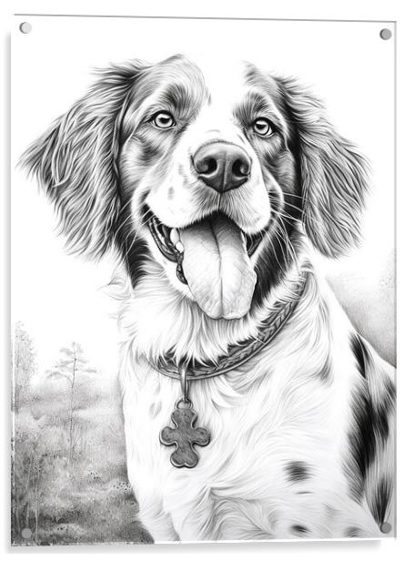 Brittany Pencil Drawing Acrylic by K9 Art
