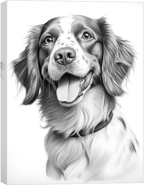 Brittany Pencil Drawing Canvas Print by K9 Art