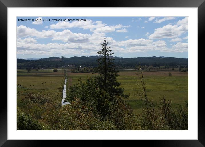 Coastline of oregon Framed Mounted Print by Arun 