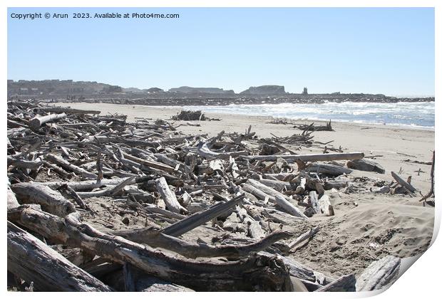 Coastline of oregon Print by Arun 