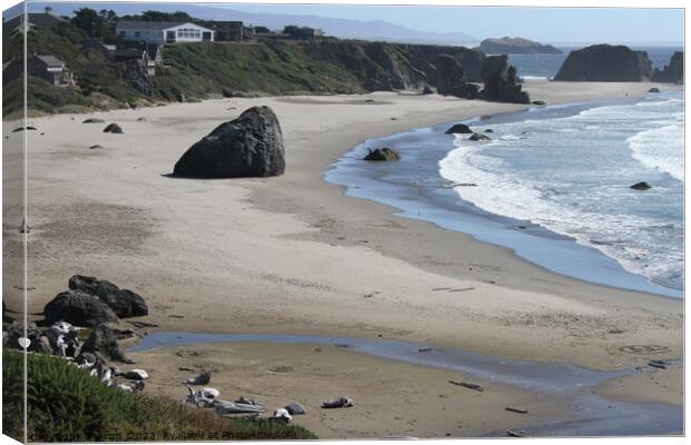 Coastline of oregon Canvas Print by Arun 