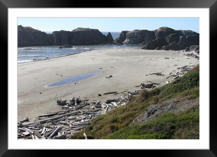 Coastline of oregon Framed Mounted Print by Arun 