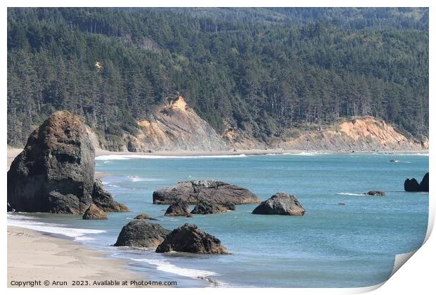 Coastline of oregon Print by Arun 