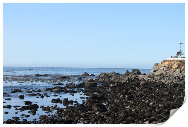 Coastline of oregon Print by Arun 