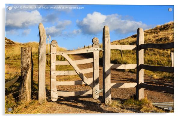 Ynys Llanddwyn Island Gate Anglesey Acrylic by Pearl Bucknall