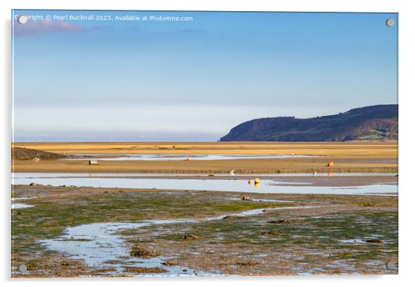 Tidal Mudflats Red Wharf Bay Anglesey Coast Acrylic by Pearl Bucknall