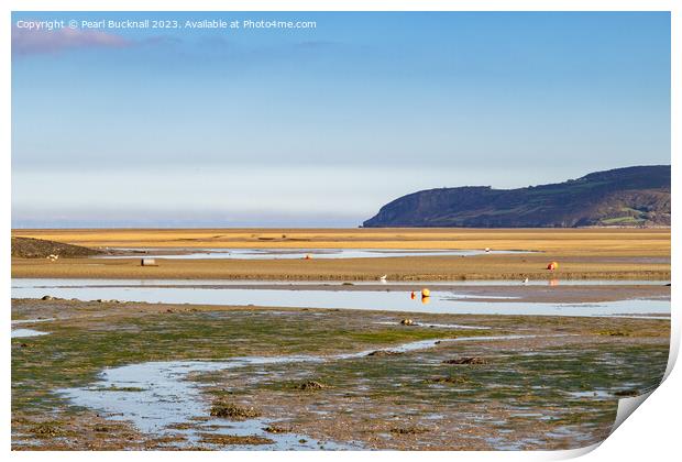 Tidal Mudflats Red Wharf Bay Anglesey Coast Print by Pearl Bucknall
