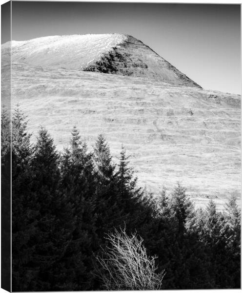 Mull Trees and Peak Canvas Print by Dave Bowman