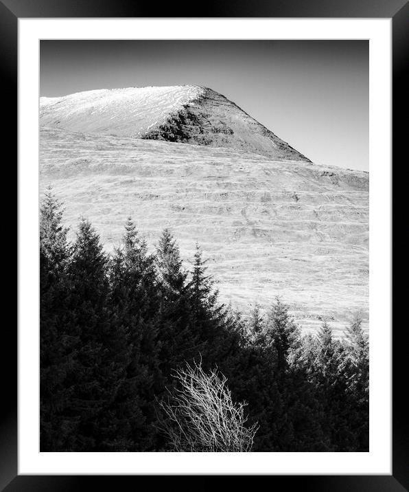 Mull Trees and Peak Framed Mounted Print by Dave Bowman