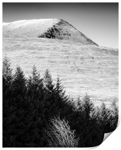 Mull Trees and Peak Print by Dave Bowman