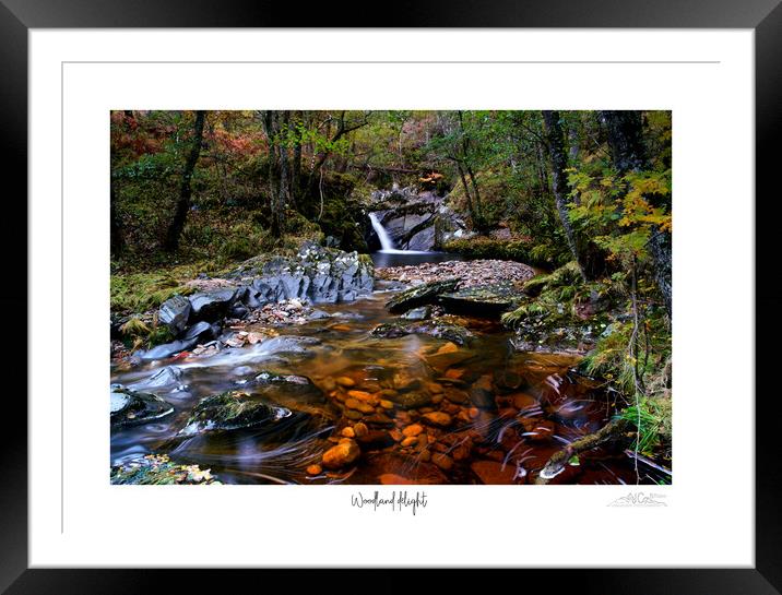 Woodland delight  Framed Mounted Print by JC studios LRPS ARPS