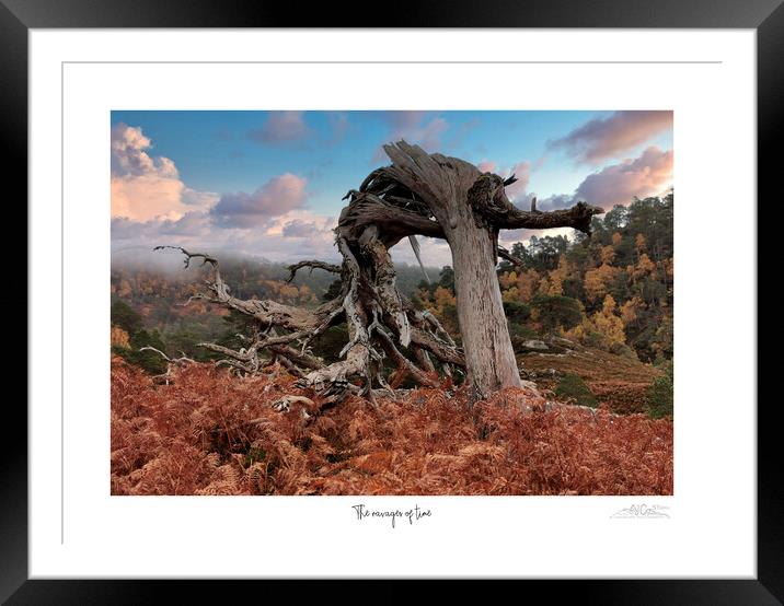 Ravages of time. Framed Mounted Print by JC studios LRPS ARPS