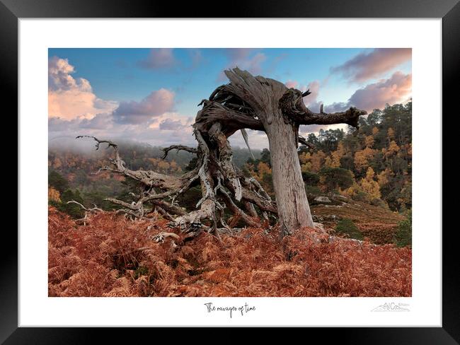 Ravages of time. Framed Print by JC studios LRPS ARPS