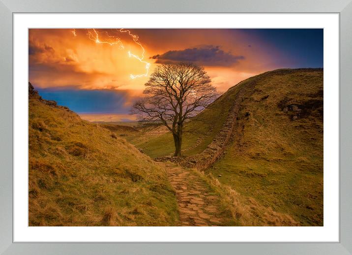 Buy Framed Mounted Prints of Sycamore Gap Hadrians Wall by Tim Hill