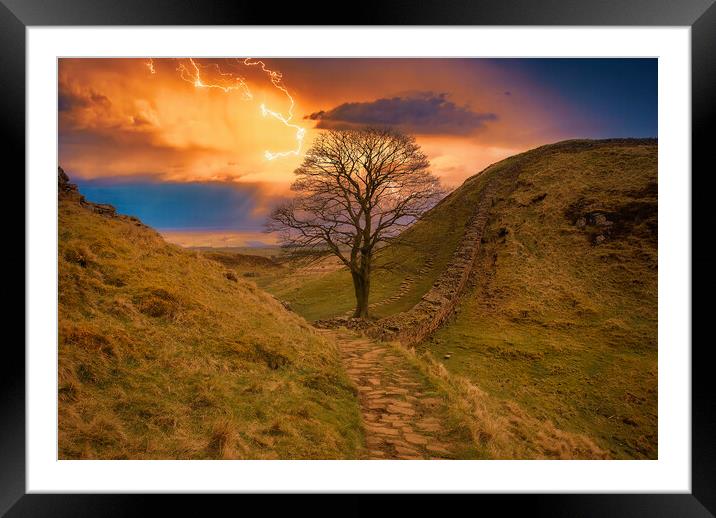 Buy Framed Mounted Prints of Sycamore Gap Hadrians Wall by Tim Hill