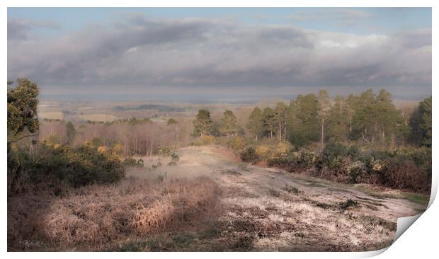 Ashdown Forest Vista Print by Kate Lake