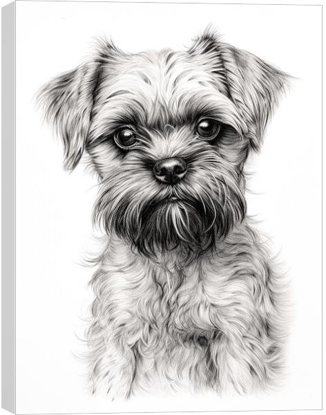 Brussels Griffon Pencil Drawing Canvas Print by K9 Art