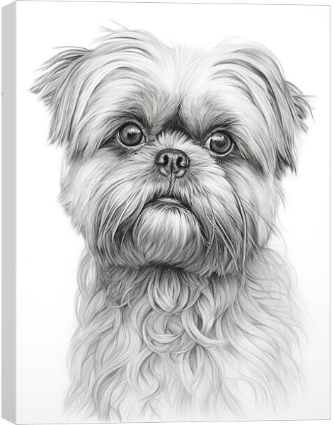 Brussels Griffon Pencil Drawing Canvas Print by K9 Art