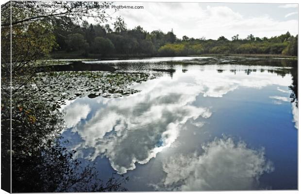 Fishpond in Hensol Forest Vale of Glamorgan  Canvas Print by Nick Jenkins