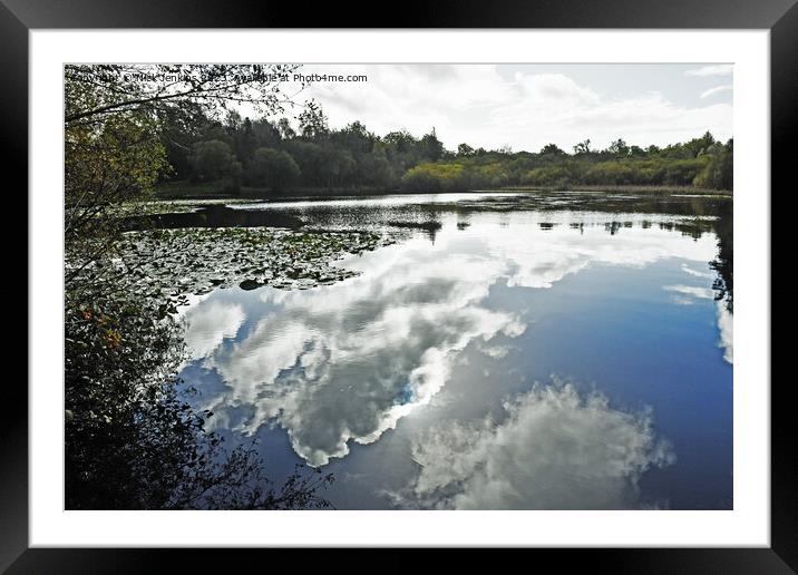 Fishpond in Hensol Forest Vale of Glamorgan  Framed Mounted Print by Nick Jenkins